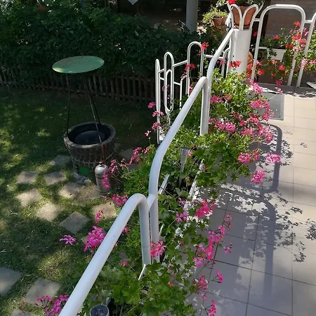 Holiday home Tiszavirag Nyaralohaz *