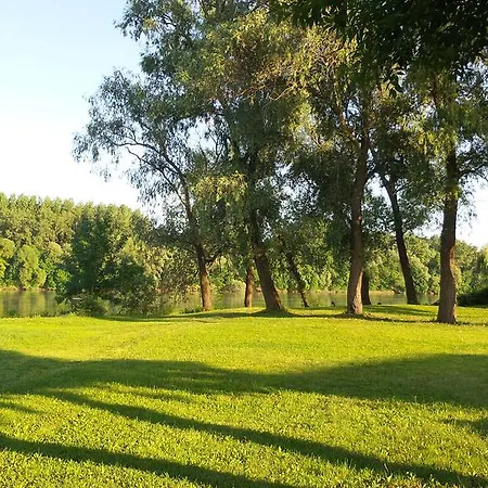 Nyaraló Tiszavirág