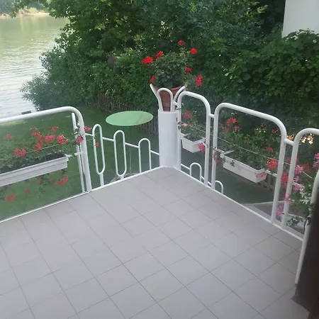 Nyaraló Tiszavirág